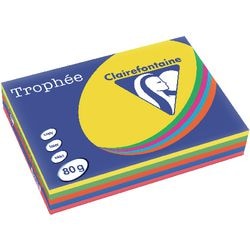Papier coloré trophée clairfontaine 1704 80g m2 a4 couleur intense assorti