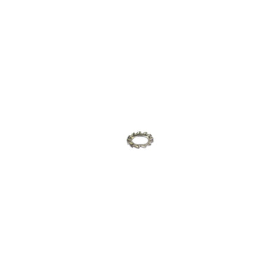 Bofix Rondelle élastique dentée M6 acier inoxydable (P100)