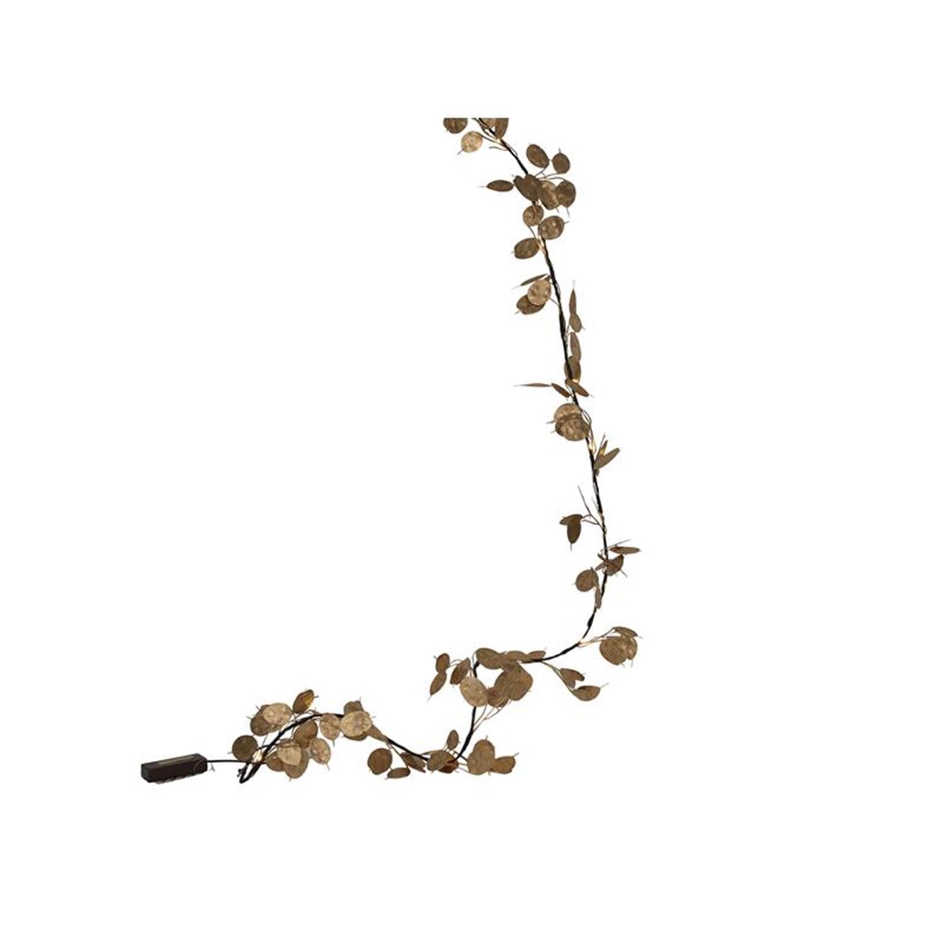 Guirlande vivante Svenska 'feuille de monnaie' 20led 180cm 2xaa