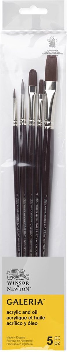 Winsor Newton 5790611 Galeria Ensemble de pinceaux acryliques – 5 pinceaux à manche long pour peinture acrylique (rond 2, rond 6, plat 4, plat 14, Filbert 8)