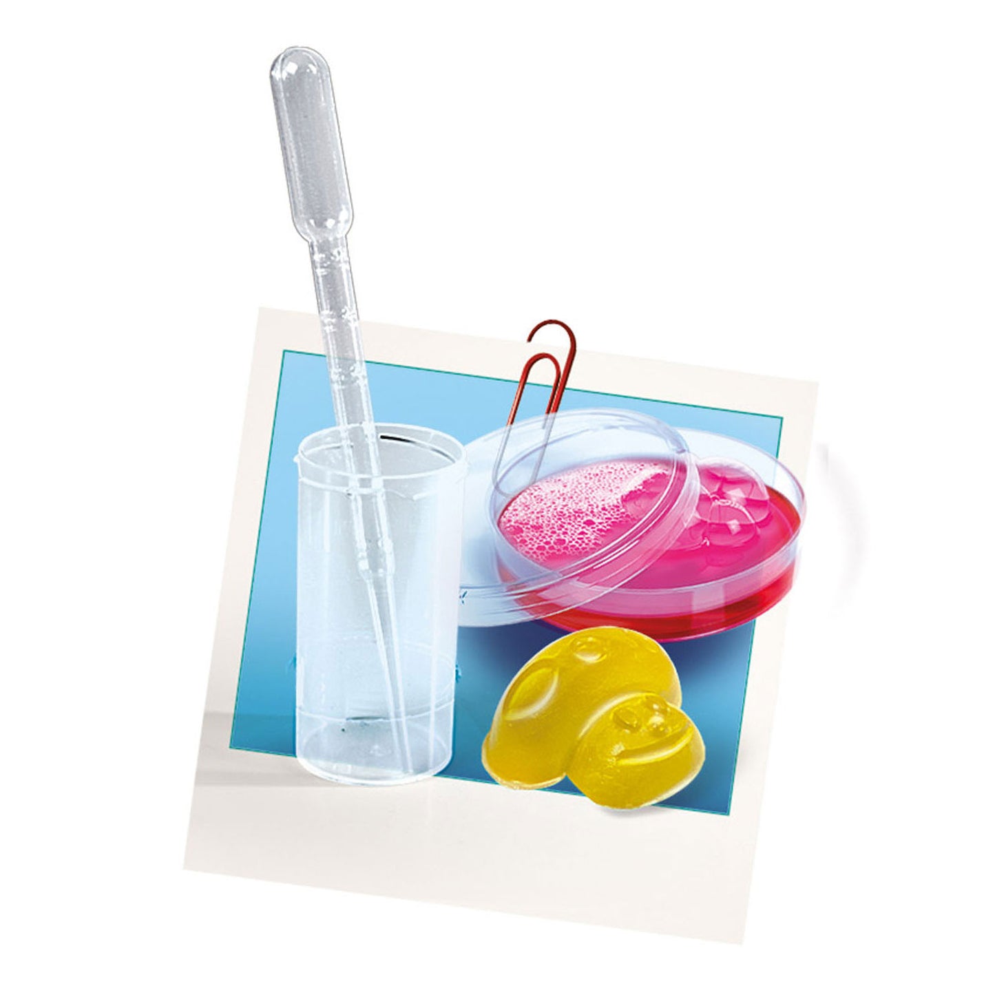 Jeu scientifique - SOAP et BRUISBALLEN
