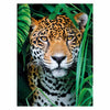 Clementoni Puzzle Jaguar dans la jungle, 500e.