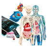 Clementoni Science et Game Super Anatomy