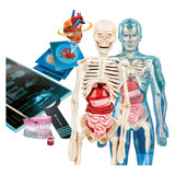 Clementoni Science et Game Super Anatomy - afbeelding 4