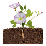 Ensemble d'artisanat de terrarium Barbie Clementoni - afbeelding 5