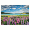 Clementoni Jigsaw Puzzle Flowers au lac Tekapo, 1500e.