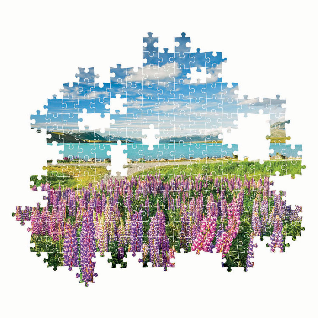 Clementoni Jigsaw Puzzle Flowers au lac Tekapo, 1500e.