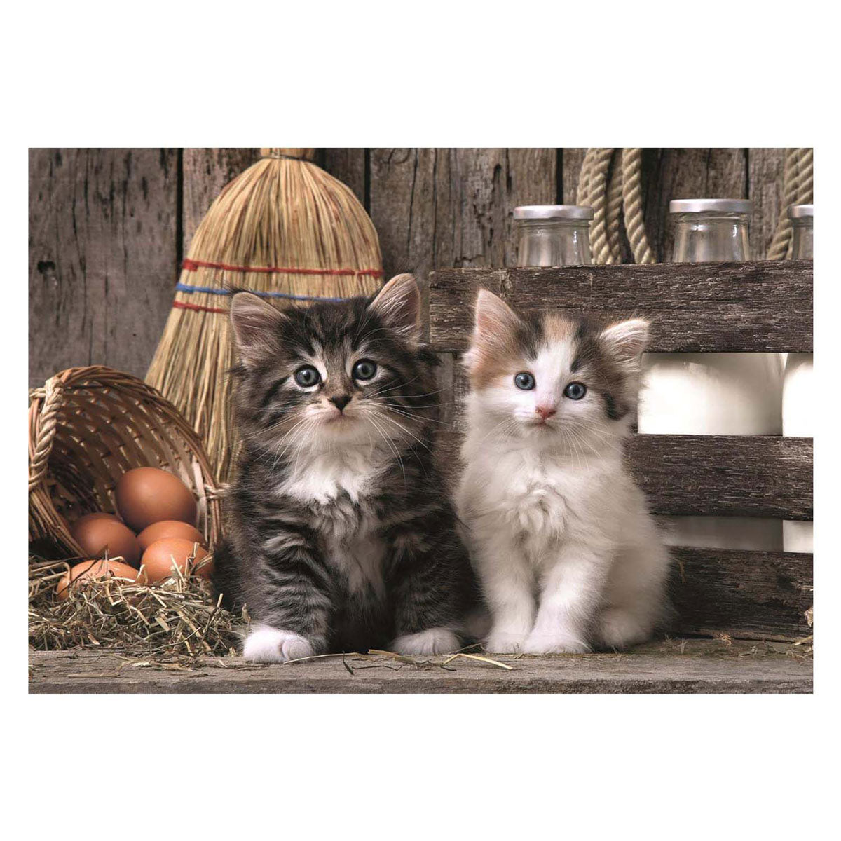 Puzzle de Clementoni - chatons mignons, 1000st.