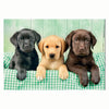 Clementoni Puzzle Jigsaw Three Labs, 1000st.