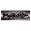 Clementoni Jigsaw Puzzle Herd or Giants, 1000st.