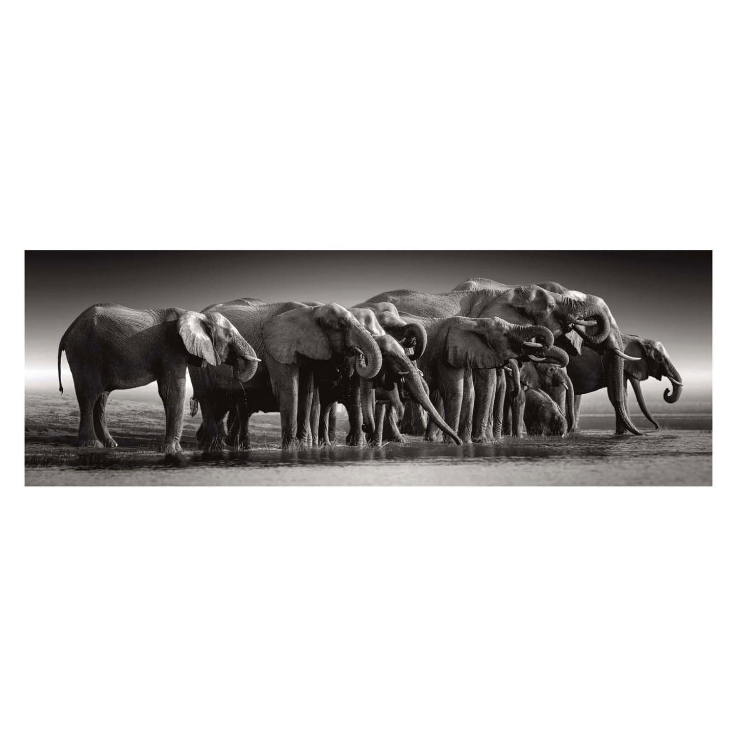 Clementoni Jigsaw Puzzle Herd or Giants, 1000st.