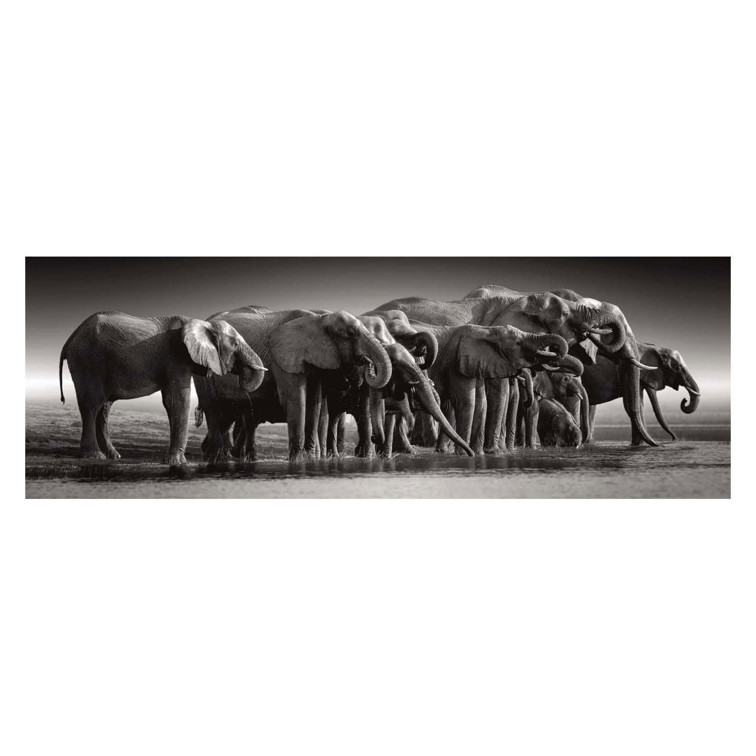 Clementoni Jigsaw Puzzle Herd or Giants, 1000st.