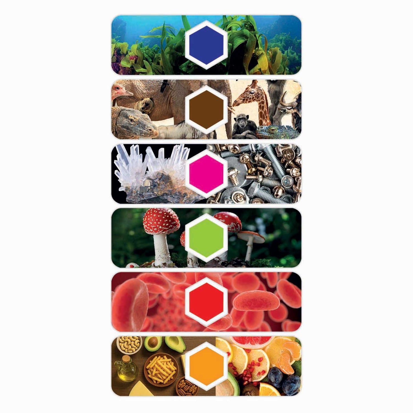 Microscope de jeu scientifique intelligent Clementoni