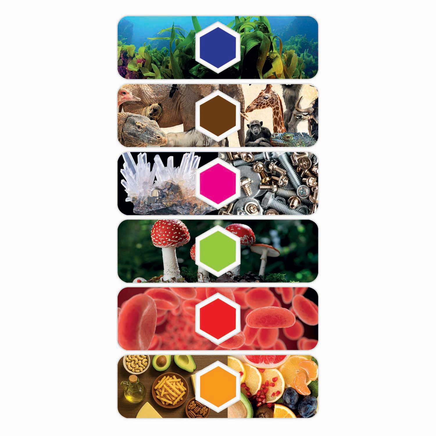 Microscope de jeu scientifique intelligent Clementoni