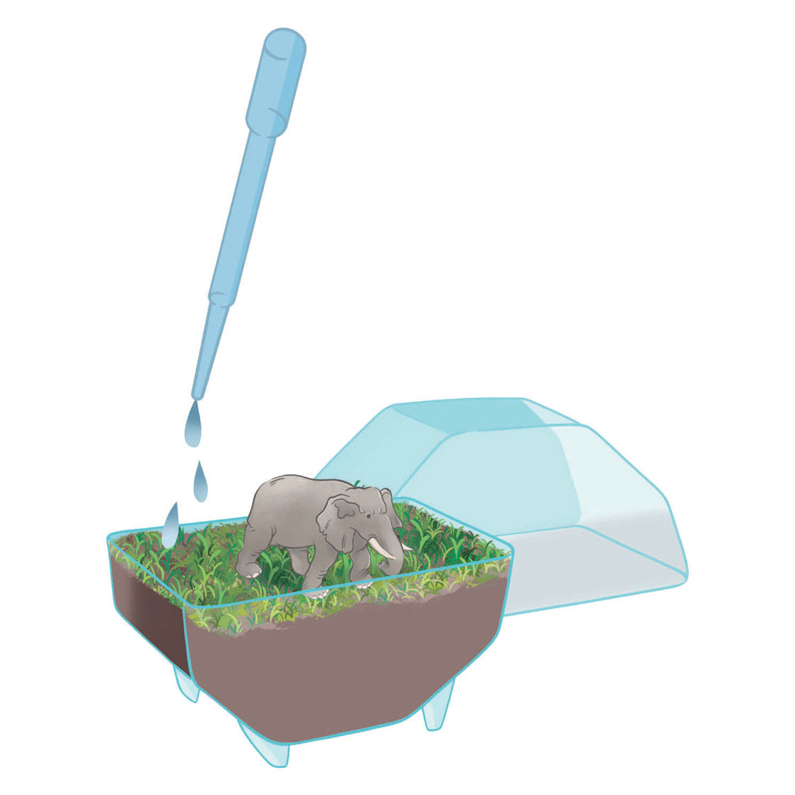 Jeu scientifique Clementoni mon terrarium sauvage - éléphant