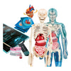 Science et jeu Clementoni - super anatomie