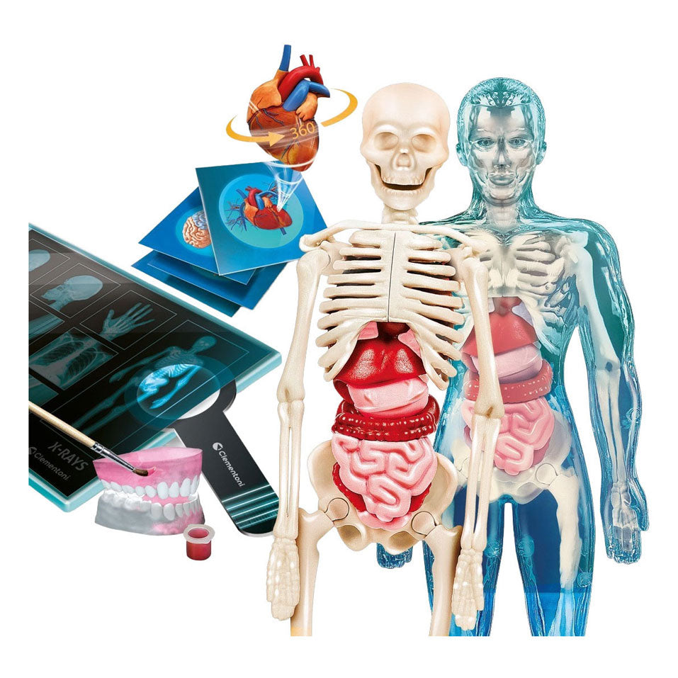 Science et jeu Clementoni - super anatomie