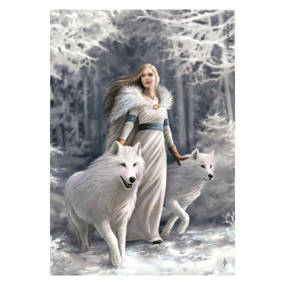 Clementoni puzzle Anne Stokes gardiens d'hiver - 1000 pcs.