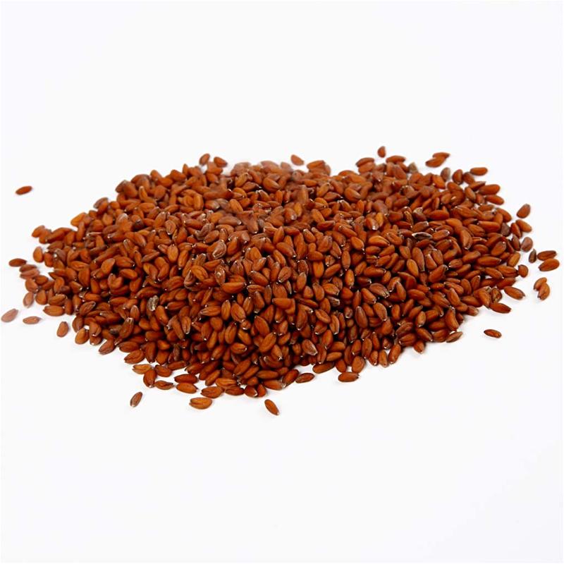 Creativ company graines de cresson, 30 gr 1 sachet