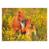 Ravensburger Shetland Ponies, 100e. Xxl