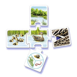 Ravensburger Tiptoi tous mes animaux - afbeelding 2