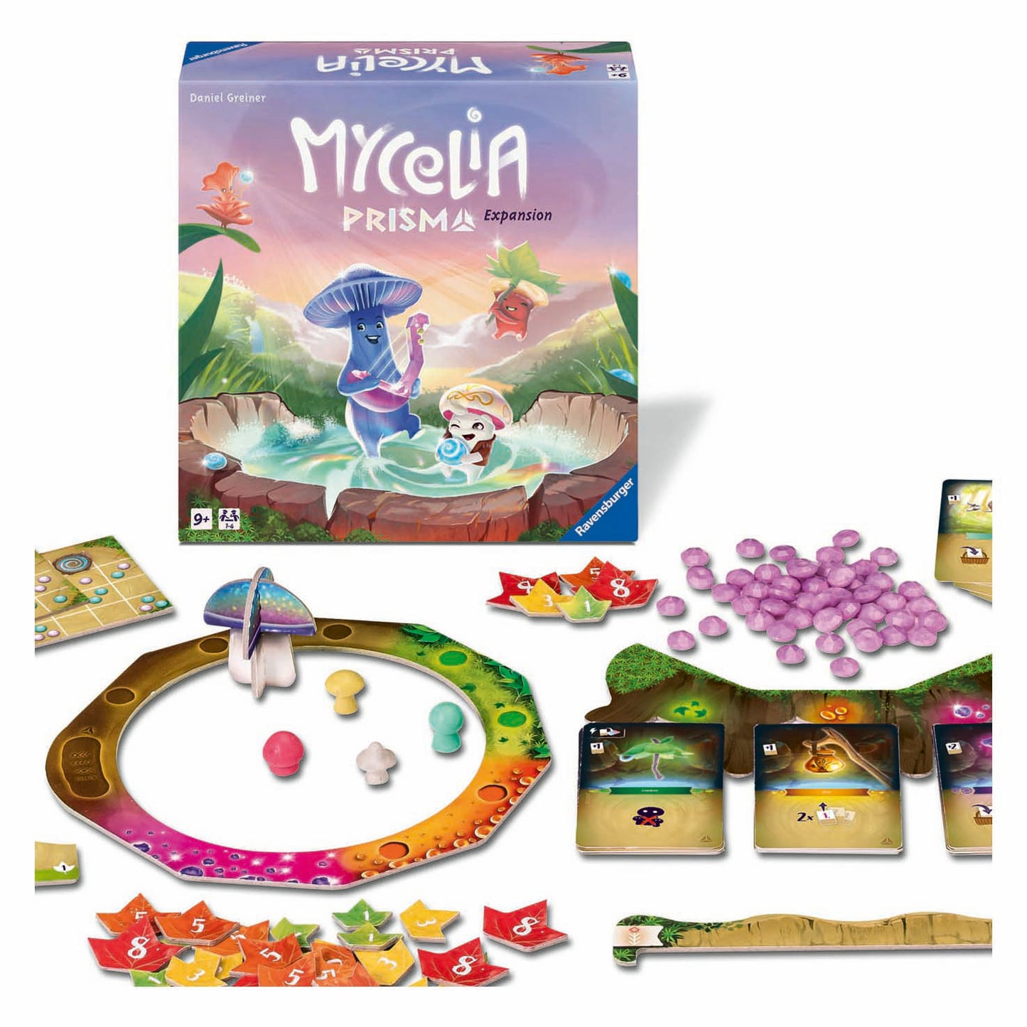 Expansion du mycélium de Ravensburger
