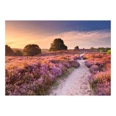 Ravensburger puzzle chemin rose - 1000 pcs.