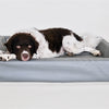 Bia Bed Hondmand Original Grey