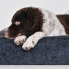 Bia Bed Fleece Hoes Hondmand Gray