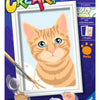 Ravensburger Creart peinture sur le numéro Oranje Tabby