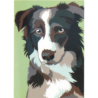 Nassau Nassau peinture sur Song Dog