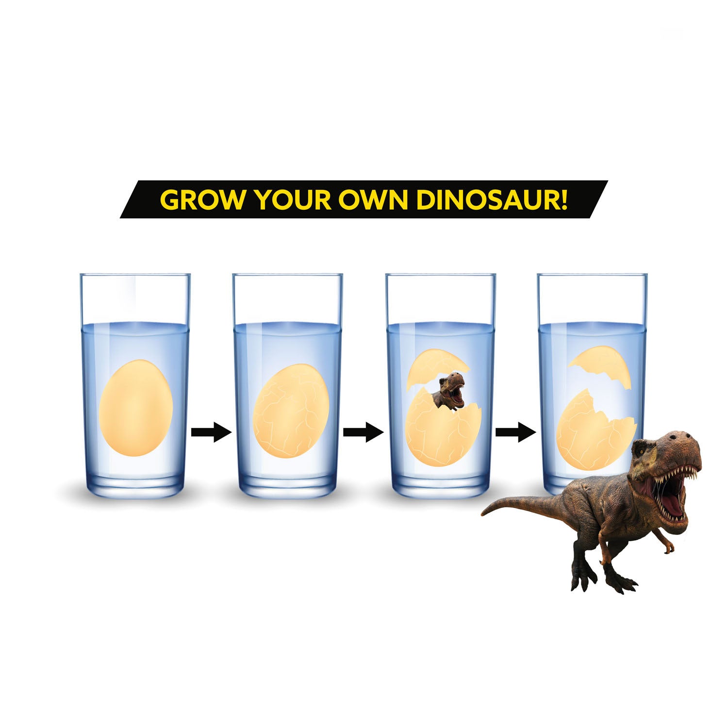 TOI-TOYS GROPPORT-OEGG DINOSAURUS