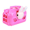 Lapin Pluchen dans la valise de transport