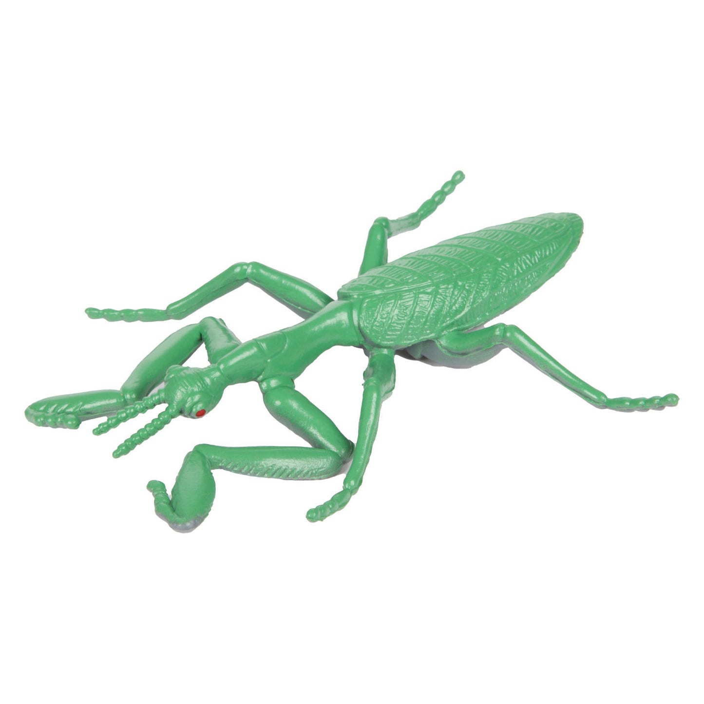 TOI-TOYS Animal World Great Crees Insect
