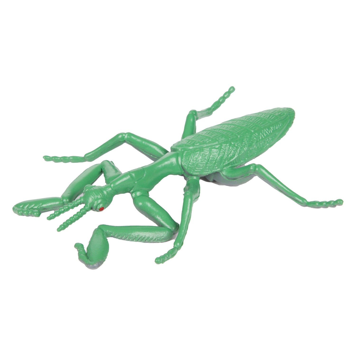 TOI-TOYS Animal World Great Crees Insect