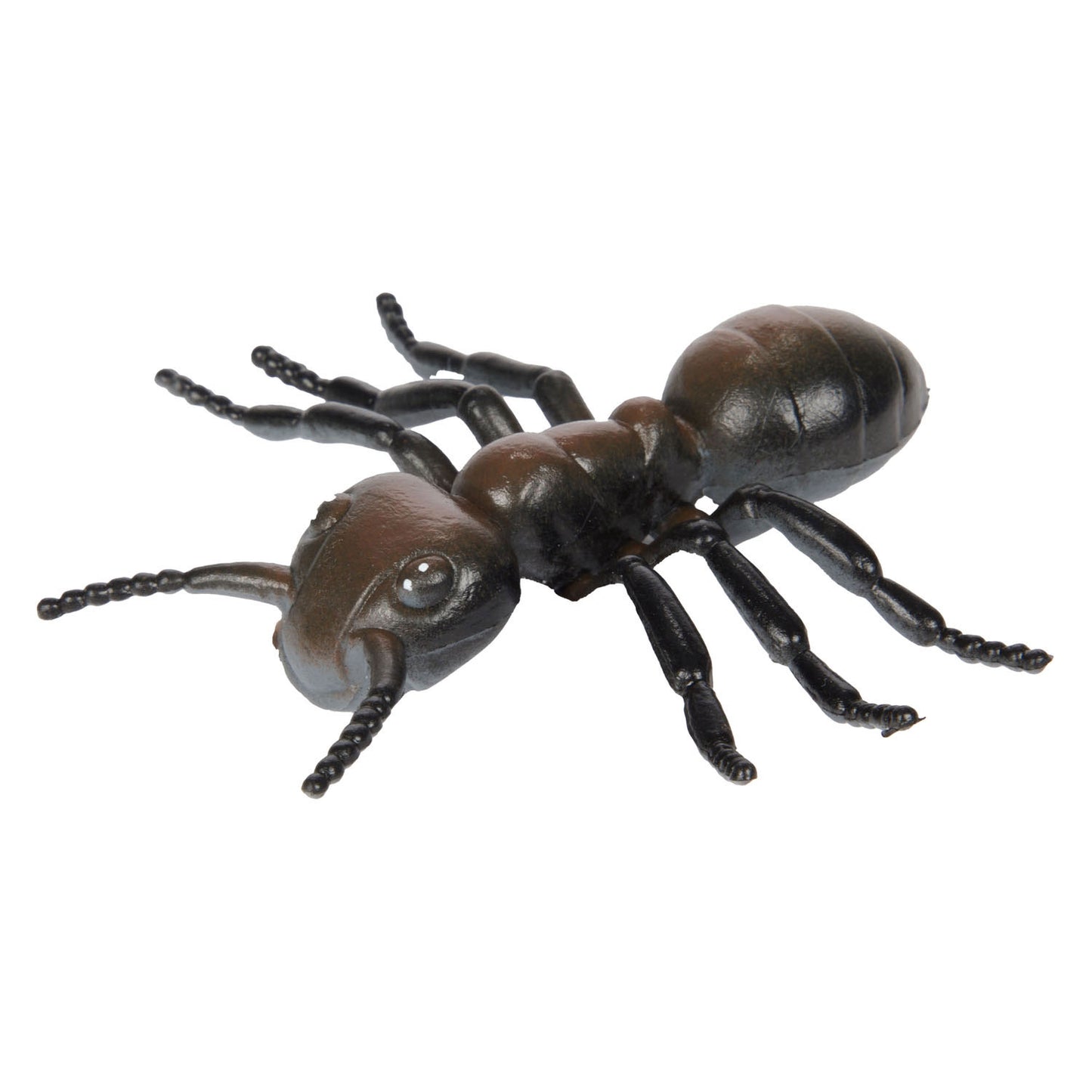 TOI-TOYS Animal World Great Crees Insect