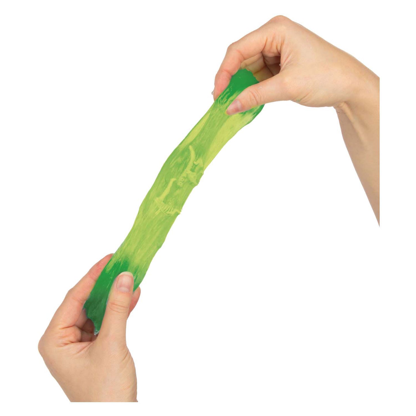 World of Dinosaurs Putty avec squelette