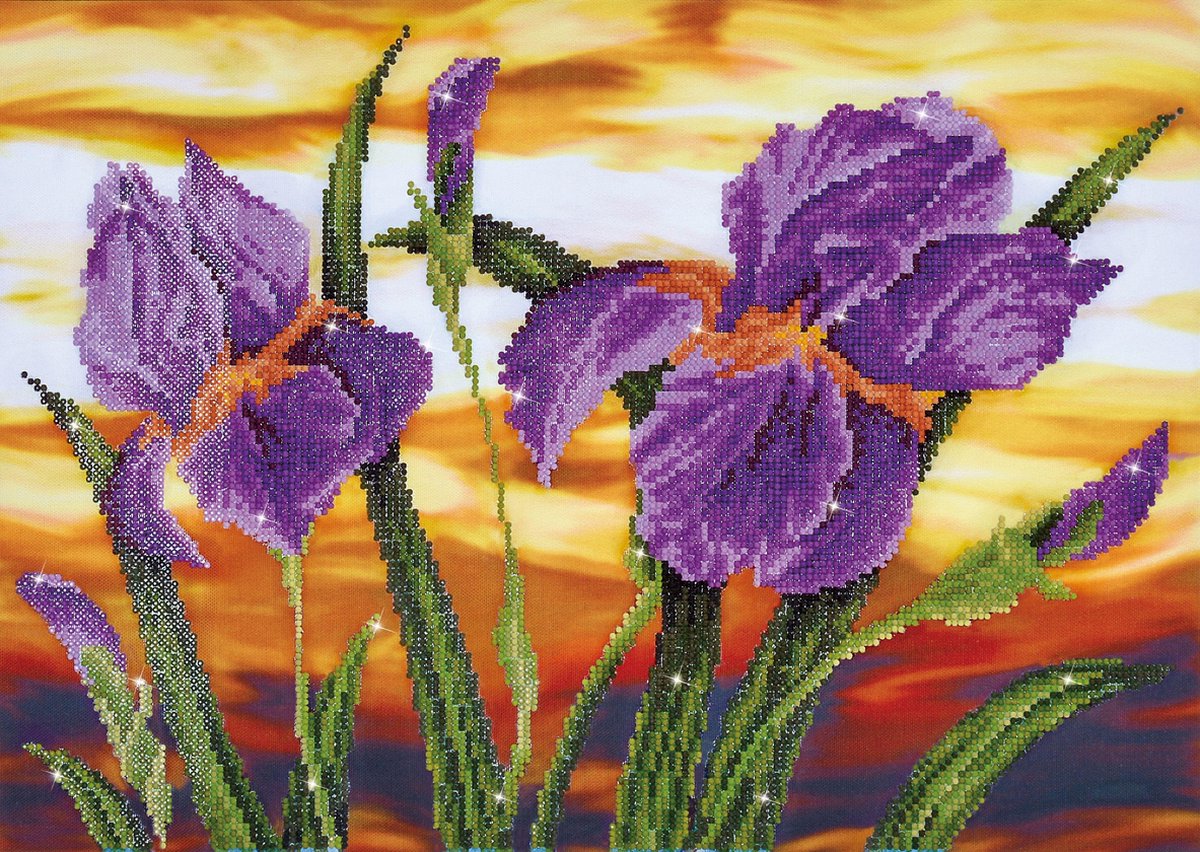 Diamond dotz iris fleurs faisant des diamants de peinture de diamants