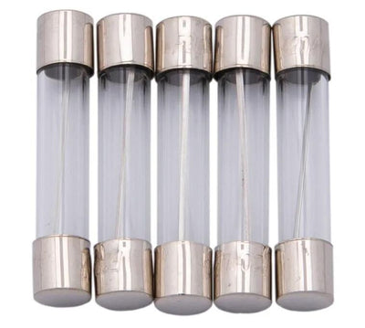 Fusibles en verre de robelhaus 6x32 mm 20a f. American Fahrz.