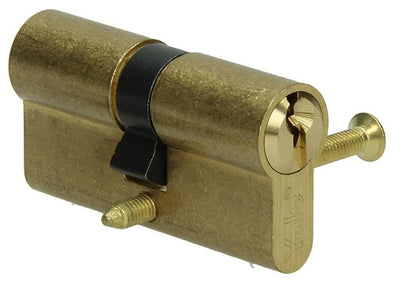 Yale 1006527 - cylindre profilé 0250 mp 60mm(30 30) | 1 pièce