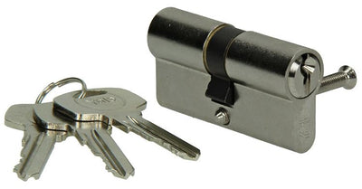 Yale 1006530 - cylindre profilé 0250 mv 60mm(30 30) | 1 pièce