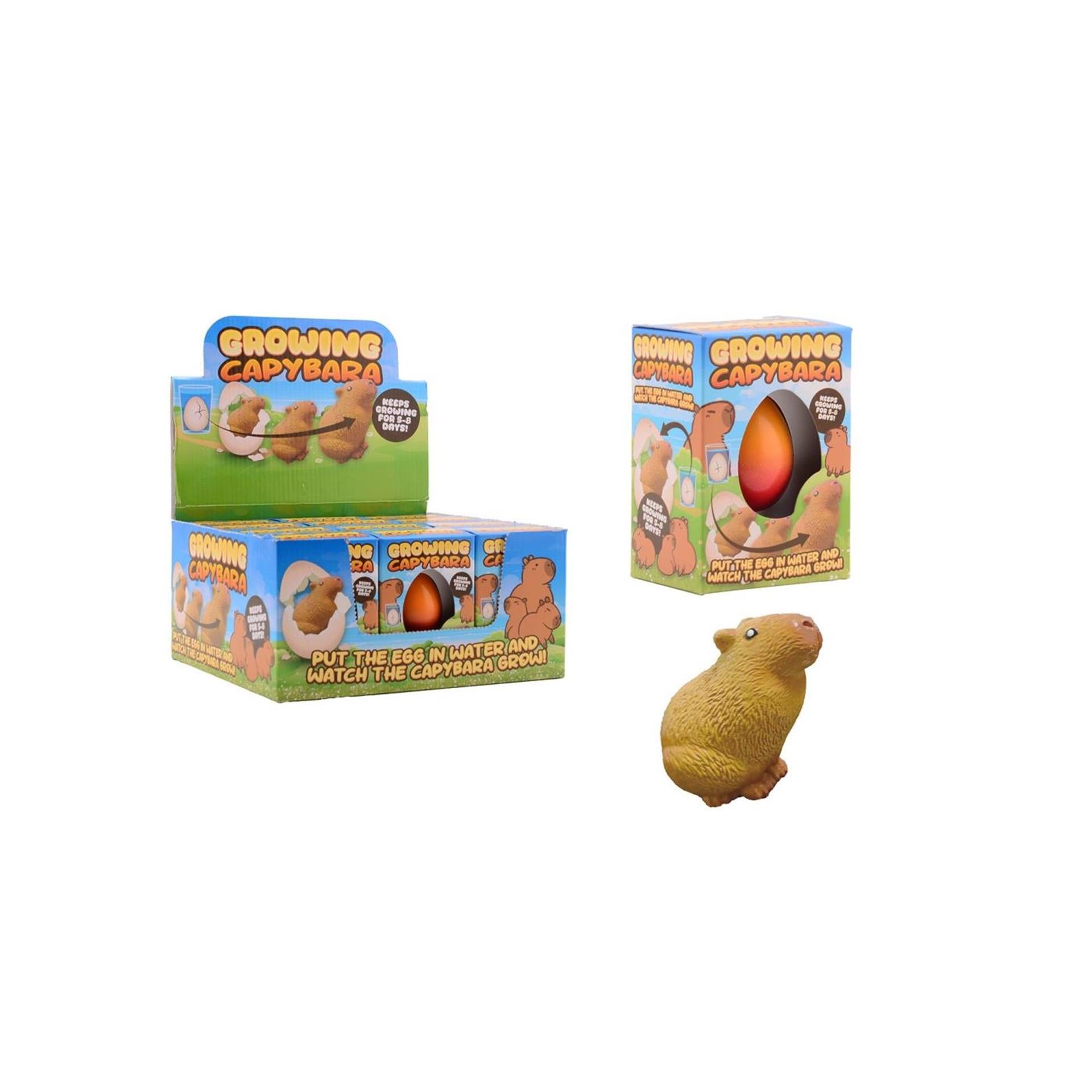 Johntoy cultive du capybara dans un œuf