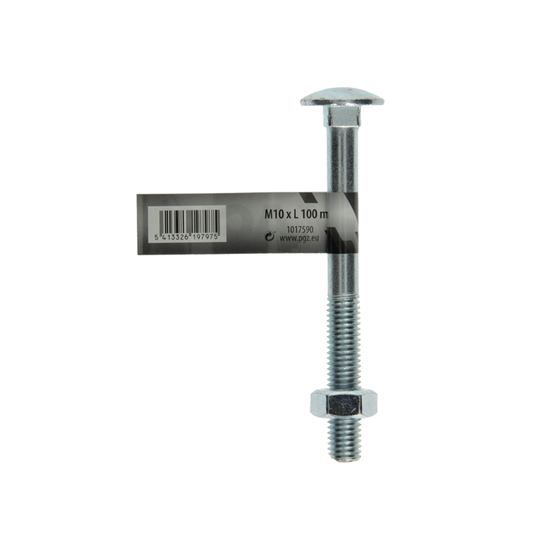 Mack 1017590 - boulon à bois + écrou en acier galvanisé 1 pièce m10 x 100 mm | 10 pièces