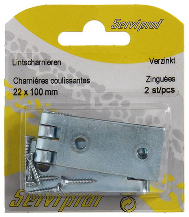 Mack 1013482 - 2 charnières à ruban galvanisé h 22 x l 100 mm | 5 pièces