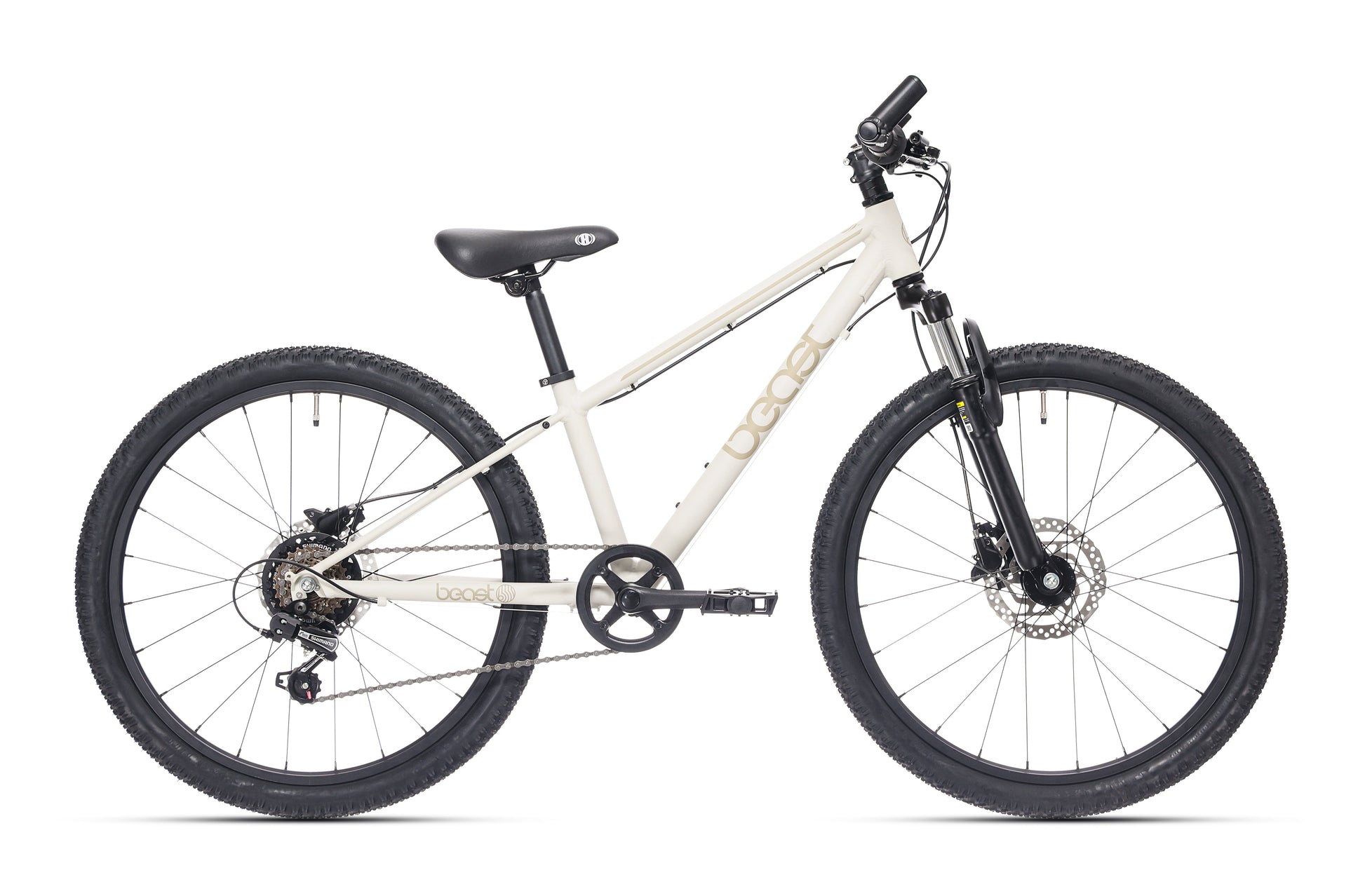 BikeFun Children's Bike Le gris de gale de 24 pouces à 6 vitesses