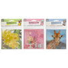 Ensemble de cartes de peinture en diamant 13x13 cm 2 pièces 3 Assorti