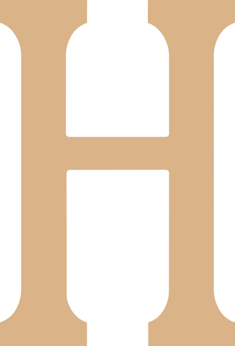 Vaessen creative • lettre mdf h 21,8cm