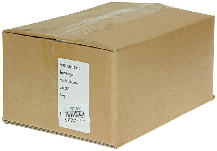 1015645 - carton 5 kg. clous tête plate 3,0x65 mm | 2 pièces