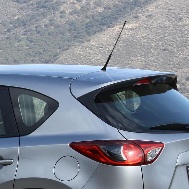 Autostyling seehase seehase antennes d'antenne de voiture ensemble universel autostyling