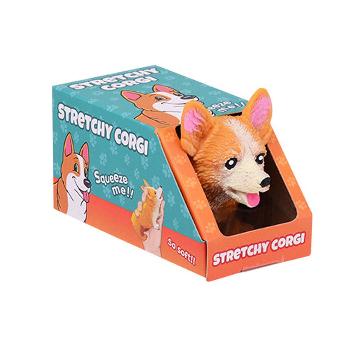 Corgi de chien extensible